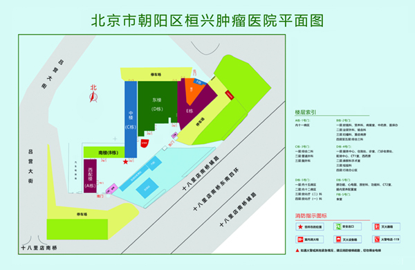 啊啊啊爆c北京市朝阳区桓兴肿瘤医院平面图